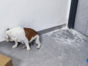伯纳天纯 (Pure&Natural)宠物狗粮 中大型成年犬狗粮4kg 经典系列金毛德牧 实拍图