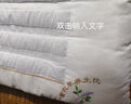 雅思迪枕头枕芯一对装低枕颈椎枕决明子荞麦薰衣草花草枕芯成人枕头套装 薰衣草花草枕【48x74cm】 1只装【枕芯】 实拍图