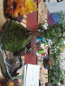瀚林怡景（HANLINYIJING）六月雪盆景植物树桩悬崖造型假山老桩室内客厅办公室绿植桌面盆栽 山水石景（青釉）-六月雪 晒单实拍图