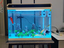 森森（SUNSUN） 超白玻璃小鱼缸客厅小型桌面家用水族箱生态免换水金鱼缸 HE600+假山景2套ZJ-18(内置棉和滤材) 实拍图