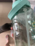 恩尔美（nRMEi）运动水杯男女健身夏季Tritan吸管太空杯大容量便携户外饮用壶杯子 渐变[tritan+提手+双饮] 3800ml 实拍图