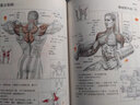 肌肉健美训练图解 德拉威尔 肌肉图解肌肉塑造全书拉伸训练 健身教练书籍 健身书籍 实拍图