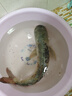 光威（GW）爆护鲫香味（100克）3袋四季搓拉鱼饵鲫鱼鲤鱼综合饵可拉饵钓鱼饵 实拍图