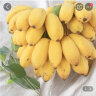 广西香蕉 小米蕉   新鲜水果 生鲜 生果 小米蕉是小的 小米蕉3斤 净重3斤 晒单实拍图