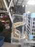 智宙 宠物鹦鹉撞针饮水器自动喂水器水壶玄风鸟类食盒喂食喝水器防贱 谷壳分离喂食器 实拍图