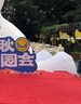 东之天地 氛围灯串星星灯装饰露营户外圆球灯摆摊夜市小彩灯房间闪灯串灯 圆球款6米40灯【USB+电池两用】 实拍图