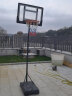函翔（HANXIANG） 篮球架户外可移动成人家用篮球框架投篮架便携式升降儿童蓝球架 0182儿童加粗款（1.25-2.1米） 实拍图