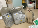 petree北去天然矿石颗粒猫砂4.2kg进口钠基矿砂膨润土除臭微尘结团快 清香型（新版，添加除臭小棕粒） 1包 实拍图