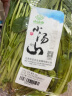 小汤山 北京 菠菜 280g 基地直供新鲜蔬菜 实拍图