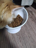 乐摩（lemo）乐摩 植萃低温烘焙猫粮全价全阶段幼猫成猫通用全期天然无谷猫粮 天然植物萃取烘焙猫粮2kg 实拍图