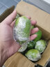 粤品【香水柠檬】广东香水柠檬 无籽海南香水青柠檬奶茶店专用 广东香水柠檬3斤 实拍图