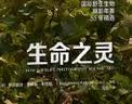 生命之灵：国际野生生物摄影年赛55年精选（自然之美，当摄影遇上自然，用光影绘出生命之灵！中国野生动物摄影训练营指定参考书，大卫·爱登堡、奚志农、袁明辉推荐） 实拍图