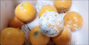 韶安广西茂谷柑石灰柑脏脏柑橘子新鲜水果 净重8斤 花皮 40个左右 茂谷柑 晒单实拍图