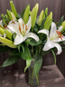 悦多彩AB级优质香水百合 家庭办公室各色生活鲜花 昆明基地 现采直发 白色百合花30朵（3头10枝） 实拍图