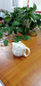杰艺陶瓷茶壶大号单壶功夫茶具青花瓷品茗杯山水青花泡茶壶大容量茶壶 双层茶壶-(白金叶子) 实拍图