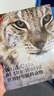 世界野生猫科动物（你一定要收藏的野生大猫家谱画册！“猫盟”翻译，探寻野生猫科动物种群之间的关联，漫谈它们的家族秘史和趣闻，体验有温度、有意思的科学研究！） 实拍图