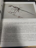 美国自然历史博物馆终极恐龙大百科（博物馆官方出品，一本以科学性著称的恐龙书） 实拍图