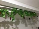 正八 假花藤条仿真葡萄叶装饰藤条树叶绿植物壁挂管道遮挡屋吊顶藤蔓 红葡萄36颗 5串 实拍图