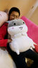 欣欣龙仓鼠公仔毛绒玩具女孩夹腿抱枕玩偶布娃娃送女生生日圣诞节礼物 灰色-开心 60厘米仓鼠羽绒棉【毯子+暖手款】 实拍图