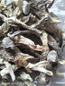 楷美新鲜鹿茸菇干货云南土特产煲汤炒菜火锅食用菌菇食材脆脆蘑菇 AAA甄选鹿茸菇250g 实拍图