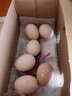 葛溪正太鸡蛋 农场直供 健康早餐 鲜蛋 农场直供鲜鸡蛋x8枚【单枚40g】 实拍图