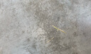 笠农全钢除冰铲 锰钢破冰铲碎冰铲墙皮铲路面除冰铲雪铲环卫清洁工具 锰钢宽冰铲+1.2米槐木柄 实拍图