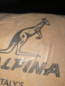 意大利袋鼠（L'ALPINA）双肩包男士大容量潮流背包商务15.6英寸电脑包旅行男包生日礼物送男生男友老公 实拍图