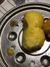 蓝湖优品【三色】东北黄米粘豆包紫米江米黏粘糕年糕特产纯手工黏芸豆豆包 【三色】粘豆包330g*3袋 共27个 实拍图