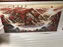 颜堂山水画客厅装饰沙发背景墙挂画办公室壁画新中式中堂字画水墨国画 鸿运当头A首富同款 实木框+有机玻璃165*85厘米 实拍图