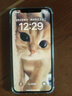 【第三方屏幕】苹果xs max Apple iPhone XS MAX 苹果 xs 全网通 二手手机 银色【限时特惠】 XS-64G【三期免息+赠豪华大礼包】 8成新 实拍图