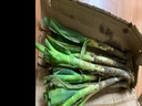 水果蔬菜 新鲜大葱 农家自产 新鲜蔬菜 5斤带皮大葱【净重5斤】 25000g 实拍图