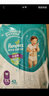 帮宝适（Pampers）超薄干爽拉拉裤婴儿尿不湿学步裤 绿帮成长裤小内裤男女宝宝 箱装XXXL78片【17kg以上】 实拍图