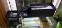 森森（SUNSUN）鱼缸过滤器三合一鱼缸水泵氧气泵小型过滤增氧循环泵 6W泵+小号过滤套装（带除油膜+过滤棉） 实拍图