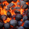 烧烤世家炭 木炭 户外耐烧 烧烤碳烧烤机制木炭无烟炭 5斤装含点火蜡木条 实拍图