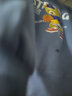 真维斯儿童套装圆领长袖薄款长裤男童女童秋季衣服中大童宽松运动服童装 【薄款套装】蓝（熊）黑（球） 130 实拍图
