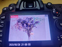 Nikon尼康D90 D3200 5600 D5500套机二手单反数码照相机高清旅游入门级d3100 官方标配 99新尼康D7000含18-105防抖 实拍图