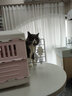 爱丽思（IRIS）航空箱宠物可折叠便携猫笼猫包狗狗猫咪宠物箱手提太空舱透气车载 桃色【含背带】 小号10公斤宠物 实拍图