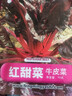 凤鸣雅世红叶甜菜种子四季蔬菜种子阳台庭院盆栽菜籽红甜菜种子10克 实拍图