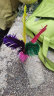 紫湖毽子6个装 大号鹅毛羽毛彩色比赛毽球 牛筋底花键儿童耐踢毽子 晒单实拍图