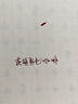 英雄（HERO）钢笔/签字笔钢笔墨水 非碳素染料型彩色墨水系列 7104彩墨咖色 实拍图
