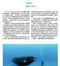 人类与海洋：一部美妙的海洋百科全书！让你深入了解海洋！ 实拍图