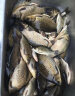 川泽轻口小碎目鲫鱼漂高灵敏纳米浮漂超灵敏醒目浮标防风浪走水顿口漂 DF-07 2号吃铅1.5克 3目加粗 葫芦型 灵/稳/准 实拍图