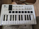 ARTURIA MINILAB3 MK3 便携MIDI键盘25键迷笛控制器打击垫音乐作编曲制作 25键 白色 +定制便携包 官方授权 赠正版音色库 实拍图