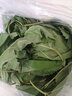 沃绣 新鲜桑叶 现摘大小蚕特嫩桑叶养蚕 蚕卵蚕宝宝食物饲料 桑苗盆栽 小蚕嫩桑叶100g【买二送一】 实拍图