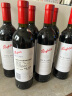 奔富（Penfolds）Bin系列 干红葡萄酒澳大利亚进口750ml 奔富389 Bin389 6支整箱装 晒单实拍图