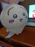 名创优品（MINISO）chiikawa中号站姿公仔正版玩偶毛绒玩具生日礼物女 Usagi乌萨奇 晒单实拍图