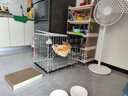 汤琪猫笼加粗便携折叠猫笼子猫别墅家用双层宠物用品猫窝猫屋龙猫笼子 白色 600#双层 实拍图