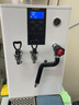 FEST蒸汽机开水机 商用奶泡机 萃茶机20升步进式加热双锅炉冷热双温一体机全自动加热咖啡奶茶店蒸汽机 20L冷水+开水+蒸汽【白色升级款】 实拍图