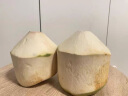 展卉泰国进口椰青椰子超大果开椰器和吸管孕妇新鲜水果生鲜天然电解质 泰国椰青均重950g+ 椰青4个装（普通开椰器） 实拍图