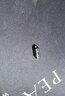 天元浪尖易条龙组合太空豆线组配件套装竞技休闲钓鱼主线组配件 浪尖易条龙组合配件4S 实拍图